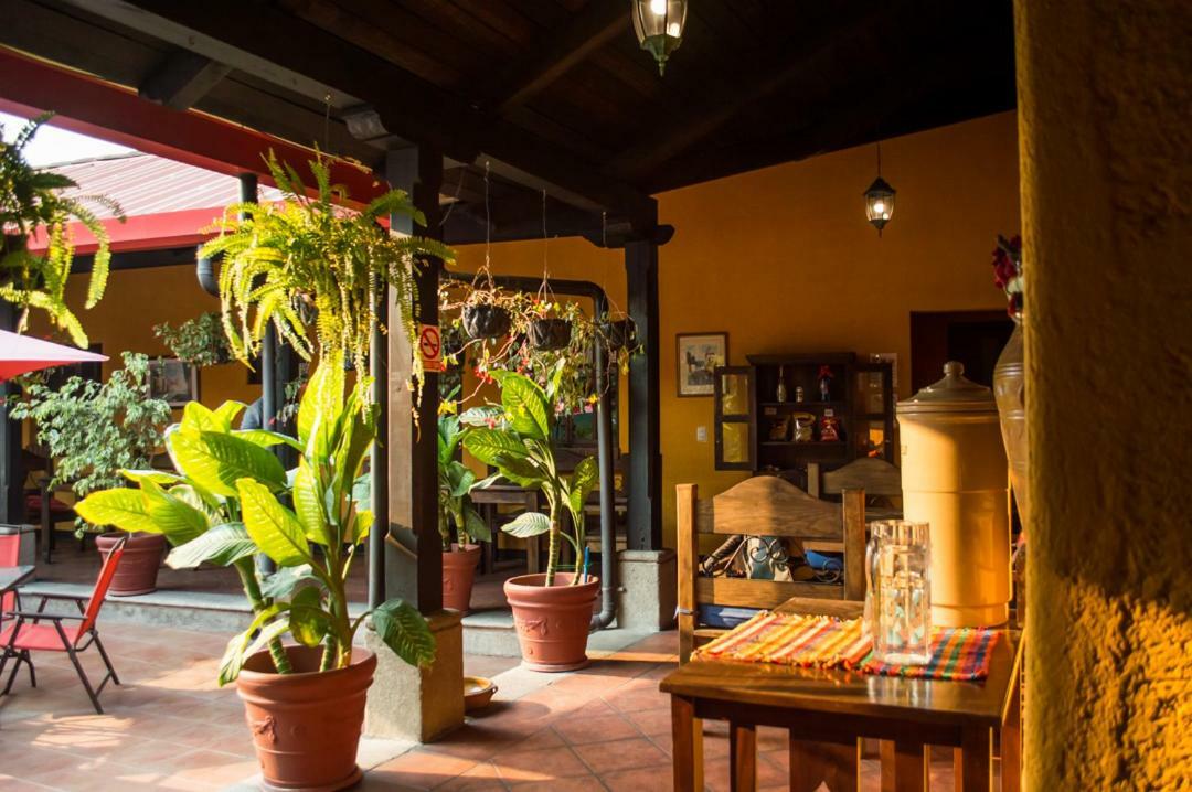Hotel Palma De Mallorca Antigua Dış mekan fotoğraf